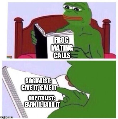 lonely frog | FROG MATING CALLS; SOCIALIST: GIVE IT, GIVE IT; CAPITALIST: EARN IT, EARN IT | image tagged in greeb frog | made w/ Imgflip meme maker