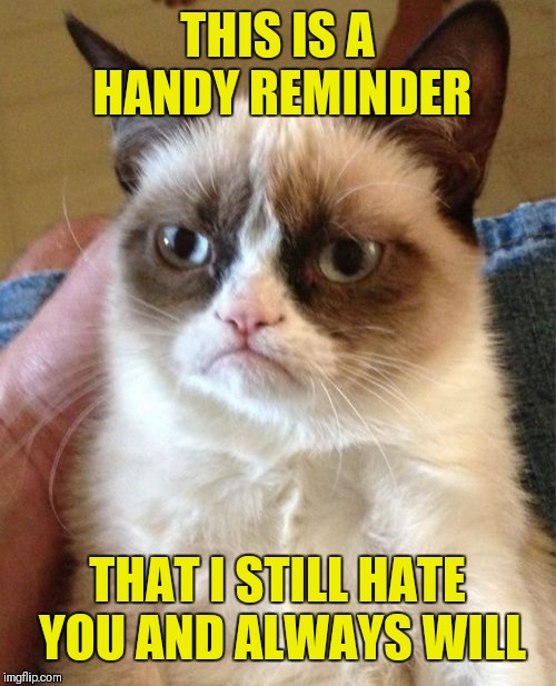 Grumpy little reminder | THIS IS A HANDY REMINDER; THAT I STILL HATE YOU AND ALWAYS WILL | image tagged in memes,grumpy cat,reminder,funny | made w/ Imgflip meme maker
