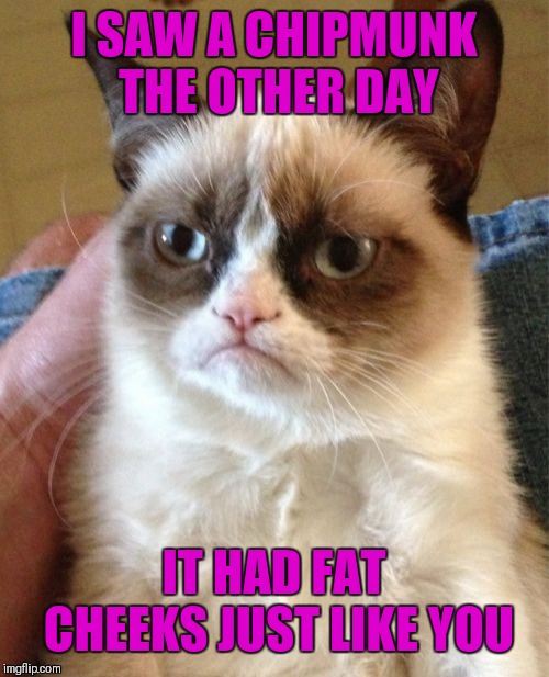 Not sure which cheeks grumpy is talking about? | I SAW A CHIPMUNK THE OTHER DAY; IT HAD FAT CHEEKS JUST LIKE YOU | image tagged in memes,grumpy cat,cheeks,chipmunks,funny | made w/ Imgflip meme maker