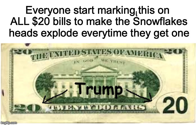 Election 2020 | Everyone start marking this on ALL $20 bills to make the Snowflakes heads explode everytime they get one | image tagged in snowflakes,trump 2020,election 2020 | made w/ Imgflip meme maker