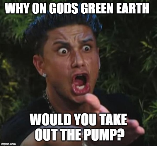 DJ Pauly D Meme | WHY ON GODS GREEN EARTH; WOULD YOU TAKE OUT THE PUMP? | image tagged in memes,dj pauly d | made w/ Imgflip meme maker