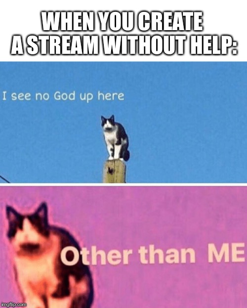Hail pole cat | WHEN YOU CREATE A STREAM WITHOUT HELP: | image tagged in hail pole cat | made w/ Imgflip meme maker