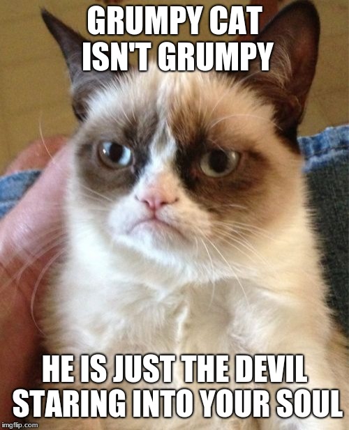 Grumpy Cat | GRUMPY CAT ISN'T GRUMPY; HE IS JUST THE DEVIL STARING INTO YOUR SOUL | image tagged in memes,grumpy cat | made w/ Imgflip meme maker