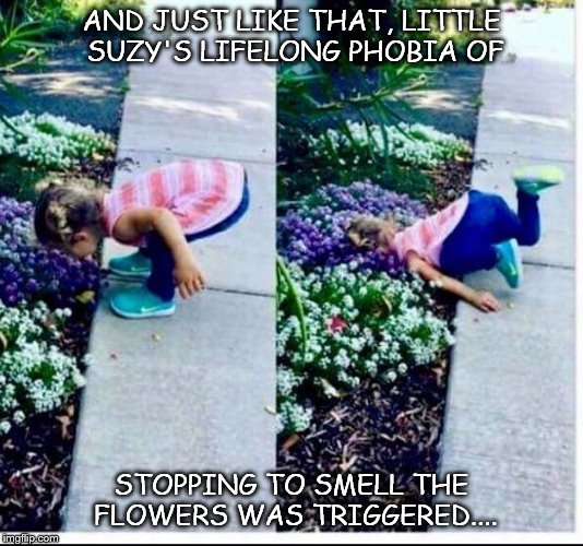 flowers | AND JUST LIKE THAT, LITTLE SUZY'S LIFELONG PHOBIA OF; STOPPING TO SMELL THE FLOWERS WAS TRIGGERED.... | image tagged in flowers | made w/ Imgflip meme maker