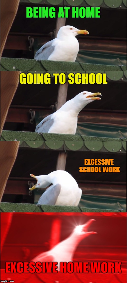 A normal school day | BEING AT HOME; GOING TO SCHOOL; EXCESSIVE SCHOOL WORK; EXCESSIVE HOME WORK | image tagged in memes,inhaling seagull | made w/ Imgflip meme maker