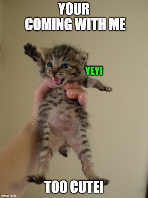 YOUR COMING WITH ME TOO CUTE! YEY! | made w/ Imgflip meme maker