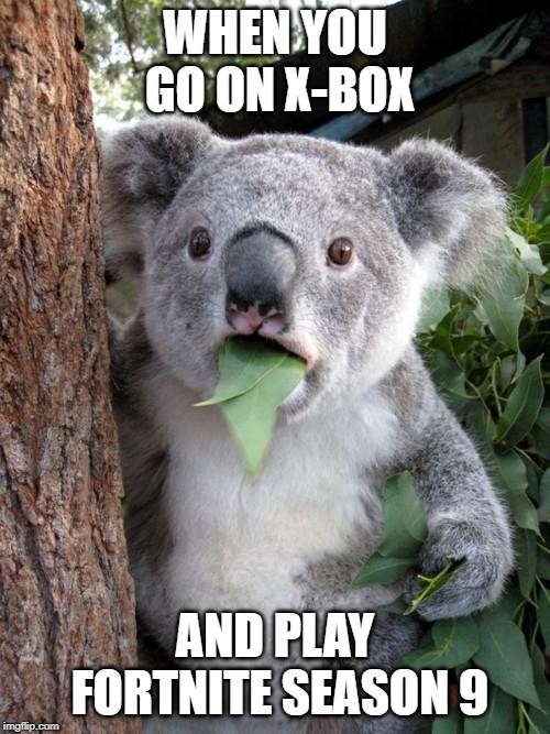 Surprised Koala Meme |  WHEN YOU GO ON X-BOX; AND PLAY FORTNITE SEASON 9 | image tagged in memes,surprised koala | made w/ Imgflip meme maker