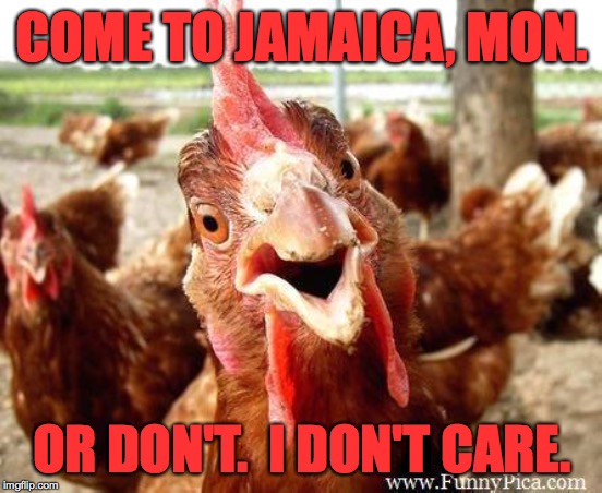 The Jamaican Travel Bureau has an edgy new spokesbird.  Jerk Chicken. | COME TO JAMAICA, MON. OR DON'T.  I DON'T CARE. | image tagged in chicken,memes,come to jamaica,or don't,i don't care | made w/ Imgflip meme maker