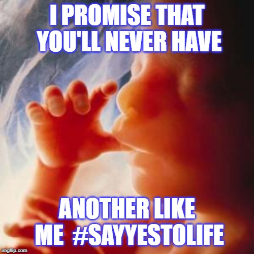 Fetus | I PROMISE THAT YOU'LL NEVER HAVE; ANOTHER LIKE ME  #SAYYESTOLIFE | image tagged in fetus | made w/ Imgflip meme maker