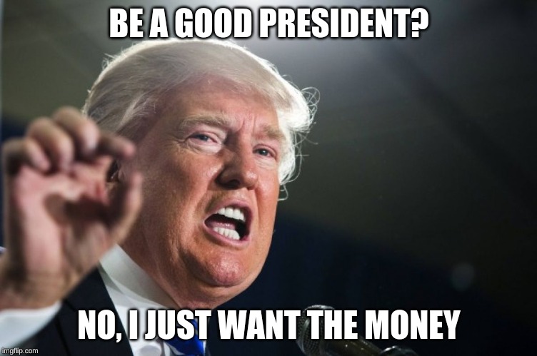 donald trump | BE A GOOD PRESIDENT? NO, I JUST WANT THE MONEY | image tagged in donald trump | made w/ Imgflip meme maker
