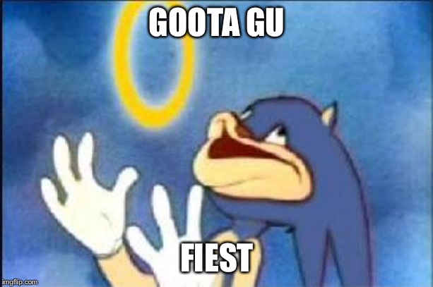 Sonic derp | GOOTA GU FIEST | image tagged in sonic derp | made w/ Imgflip meme maker