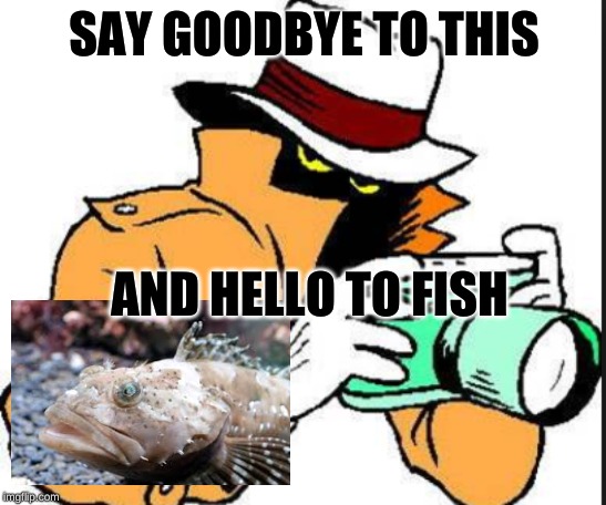 ZSpy | SAY GOODBYE TO THIS; AND HELLO TO FISH | image tagged in zspy | made w/ Imgflip meme maker