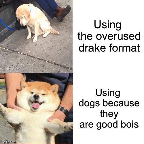 Doggo hotline bling | Using the overused drake format; Using dogs because they are good bois | image tagged in memes,doggo,puppy | made w/ Imgflip meme maker