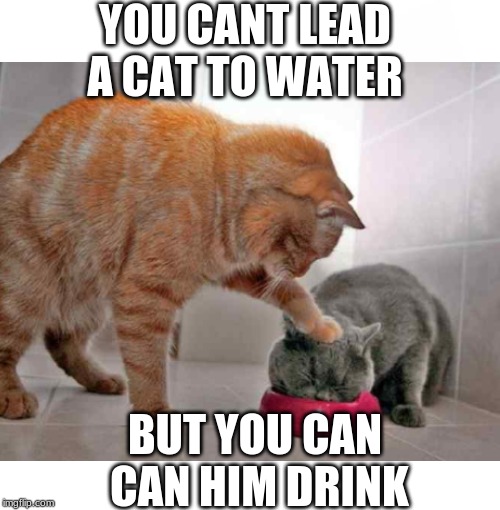 Blank Starter Pack | YOU CANT LEAD A CAT TO WATER; BUT YOU CAN CAN HIM DRINK | image tagged in memes,blank starter pack | made w/ Imgflip meme maker