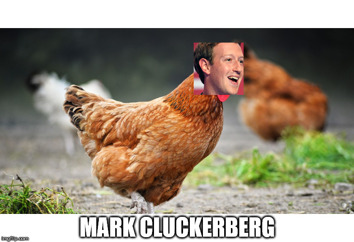 MARK CLUCKERBERG | image tagged in memes,mark zuckerberg | made w/ Imgflip meme maker