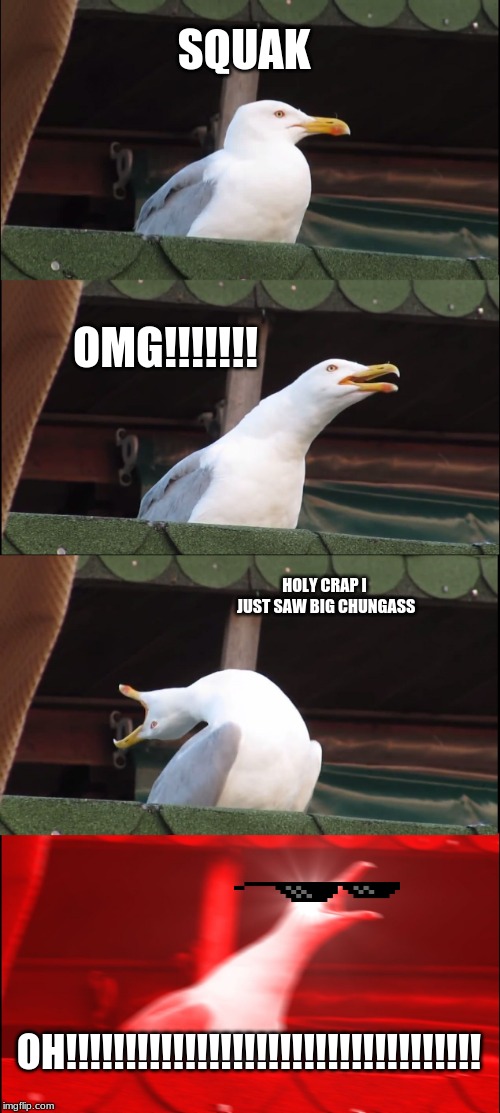 Inhaling Seagull | SQUAK; OMG!!!!!!! HOLY CRAP I JUST SAW BIG CHUNGASS; OH!!!!!!!!!!!!!!!!!!!!!!!!!!!!!!!!!!! | image tagged in memes,inhaling seagull | made w/ Imgflip meme maker