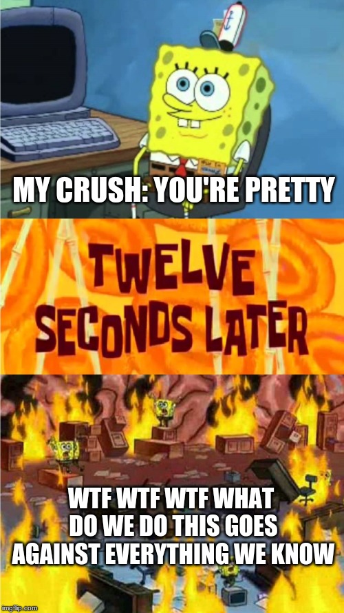 spongebob office rage | MY CRUSH: YOU'RE PRETTY; WTF WTF WTF WHAT DO WE DO THIS GOES AGAINST EVERYTHING WE KNOW | image tagged in spongebob office rage | made w/ Imgflip meme maker