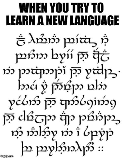 WHEN YOU TRY TO LEARN A NEW LANGUAGE | image tagged in crappy memes | made w/ Imgflip meme maker