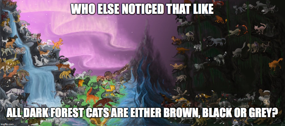 Why do I notice these things?! | WHO ELSE NOTICED THAT LIKE; ALL DARK FOREST CATS ARE EITHER BROWN, BLACK OR GREY? | image tagged in warrior cats | made w/ Imgflip meme maker