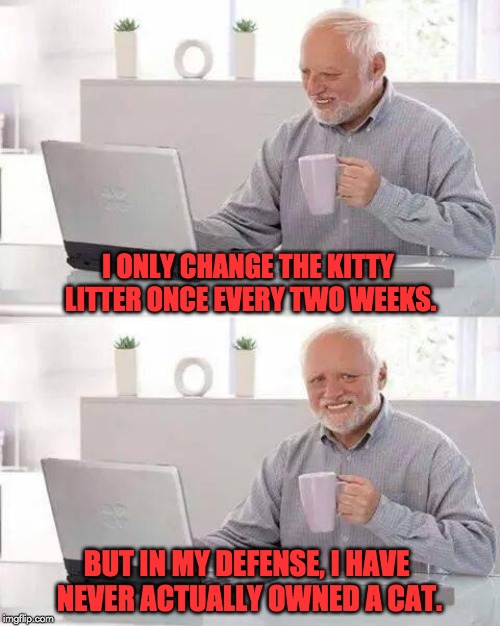 Hide the Pain Harold | I ONLY CHANGE THE KITTY LITTER ONCE EVERY TWO WEEKS. BUT IN MY DEFENSE, I HAVE NEVER ACTUALLY OWNED A CAT. | image tagged in memes,hide the pain harold | made w/ Imgflip meme maker