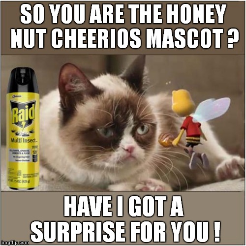 Grumpys Over-reaction to A Famous Bee | SO YOU ARE THE HONEY NUT CHEERIOS MASCOT ? HAVE I GOT A SURPRISE FOR YOU ! | image tagged in cats,grumpy cat | made w/ Imgflip meme maker