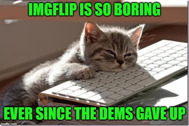 Bored Keyboard Cat | IMGFLIP IS SO BORING; EVER SINCE THE DEMS GAVE UP | image tagged in bored keyboard cat | made w/ Imgflip meme maker