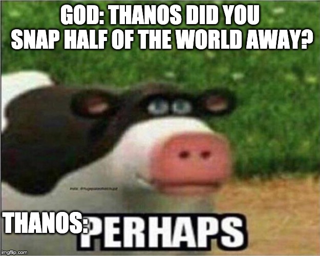 Perhaps Cow |  GOD: THANOS DID YOU SNAP HALF OF THE WORLD AWAY? THANOS: | image tagged in perhaps cow | made w/ Imgflip meme maker