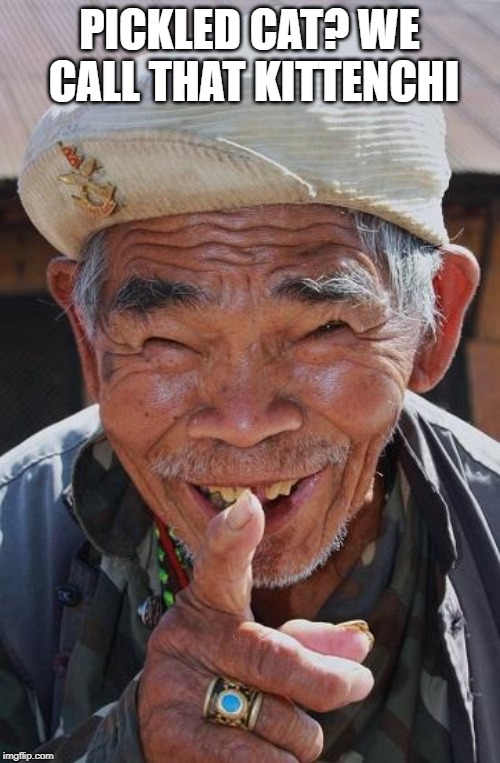 Funny old Chinese man 1 | PICKLED CAT? WE CALL THAT KITTENCHI | image tagged in funny old chinese man 1 | made w/ Imgflip meme maker