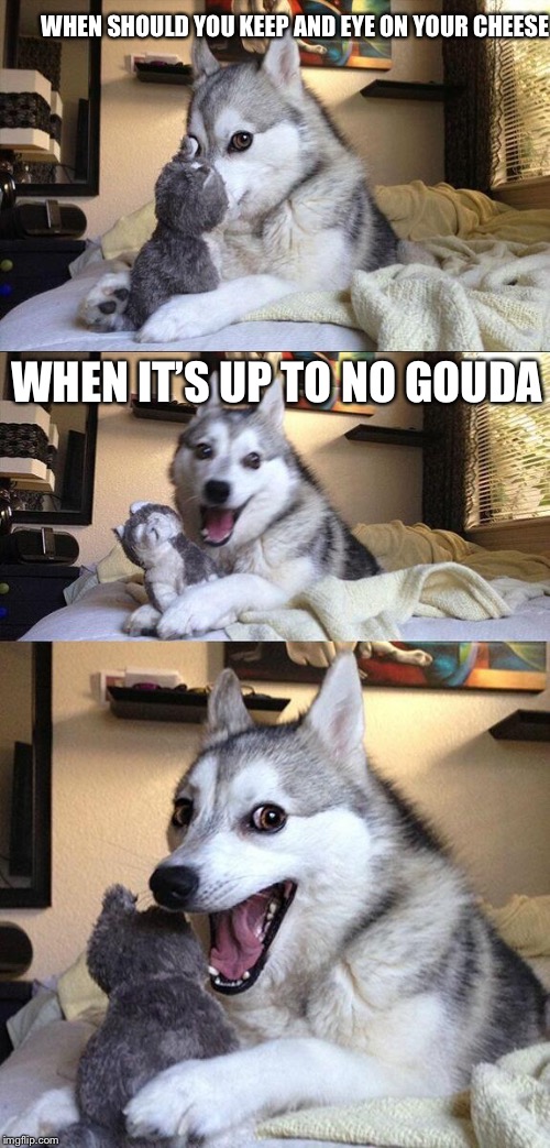 Bad puns because I like it when people see them and start ranting how bad it is | WHEN SHOULD YOU KEEP AND EYE ON YOUR CHEESE; WHEN IT’S UP TO NO GOUDA | image tagged in memes,bad pun dog | made w/ Imgflip meme maker