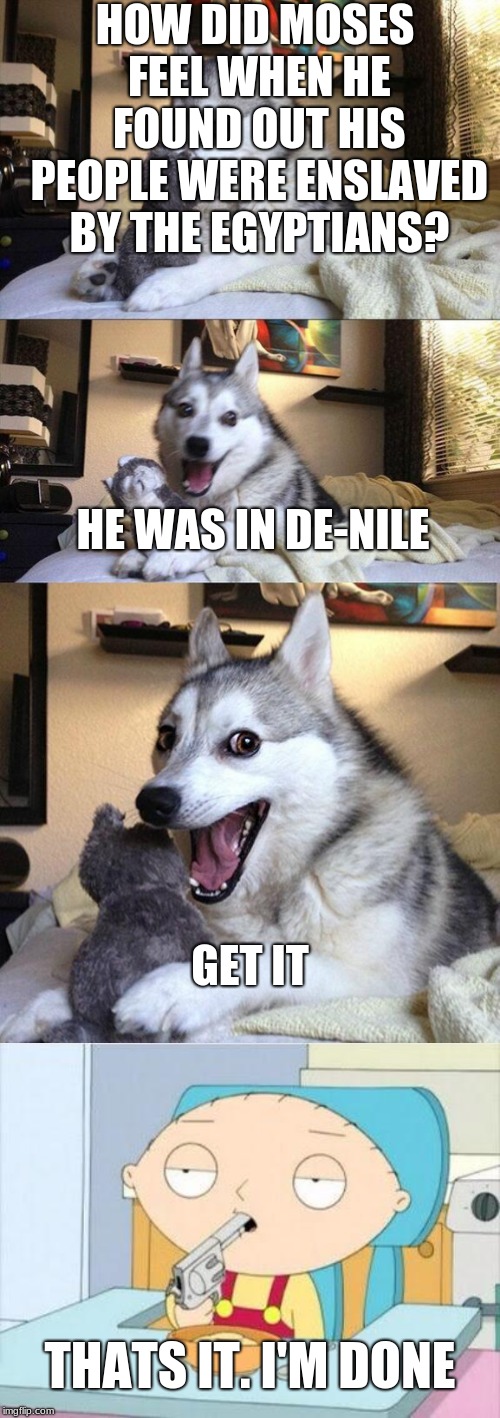 HOW DID MOSES FEEL WHEN HE FOUND OUT HIS PEOPLE WERE ENSLAVED BY THE EGYPTIANS? HE WAS IN DE-NILE; GET IT; THATS IT. I'M DONE | image tagged in memes,bad pun dog | made w/ Imgflip meme maker