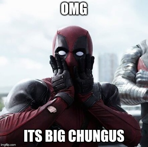 Deadpool Surprised | OMG; ITS BIG CHUNGUS | image tagged in memes,deadpool surprised | made w/ Imgflip meme maker