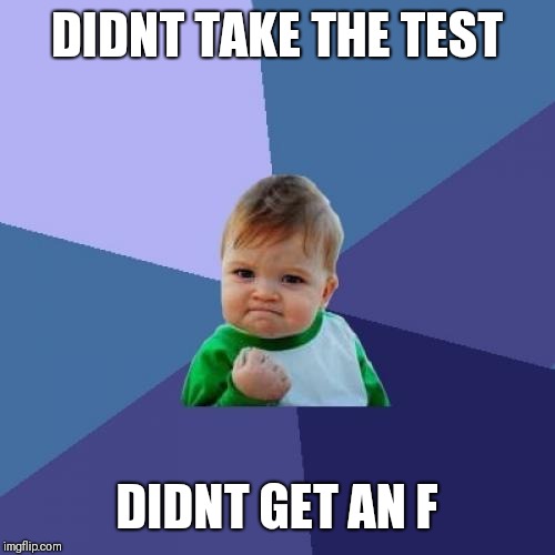 Success Kid Meme | DIDNT TAKE THE TEST DIDNT GET AN F | image tagged in memes,success kid | made w/ Imgflip meme maker