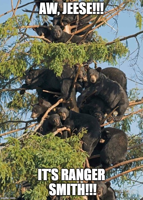 Bear tree | AW, JEESE!!! IT'S RANGER SMITH!!! | image tagged in bear tree | made w/ Imgflip meme maker