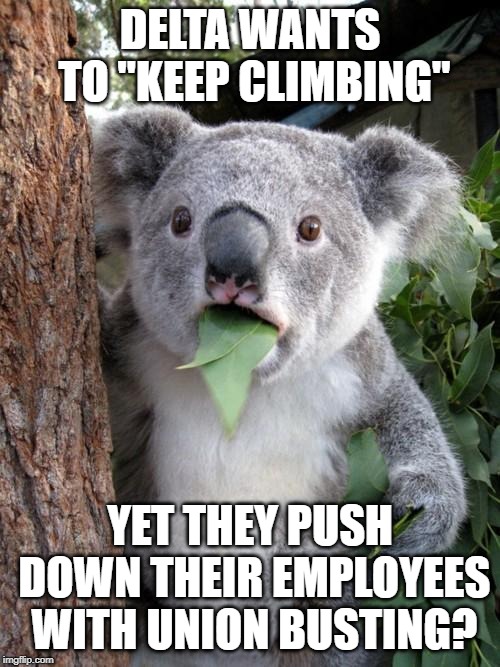 Surprised Koala | DELTA WANTS TO "KEEP CLIMBING"; YET THEY PUSH DOWN THEIR EMPLOYEES WITH UNION BUSTING? | image tagged in memes,surprised koala | made w/ Imgflip meme maker