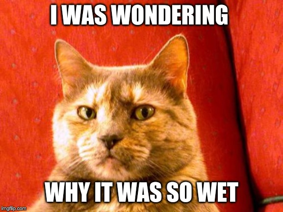 Suspicious Cat Meme | I WAS WONDERING WHY IT WAS SO WET | image tagged in memes,suspicious cat | made w/ Imgflip meme maker