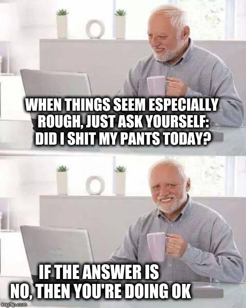 Hide the Pain Harold Meme | WHEN THINGS SEEM ESPECIALLY ROUGH, JUST ASK YOURSELF: DID I SHIT MY PANTS TODAY? IF THE ANSWER IS NO, THEN YOU'RE DOING OK | image tagged in memes,hide the pain harold,incontinence,poop,diapers,today | made w/ Imgflip meme maker