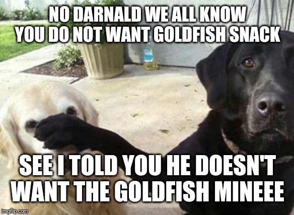 Dogs | NO DARNALD WE ALL KNOW YOU DO NOT WANT GOLDFISH SNACK; SEE I TOLD YOU HE DOESN'T WANT THE GOLDFISH MINEEE | image tagged in dogs | made w/ Imgflip meme maker