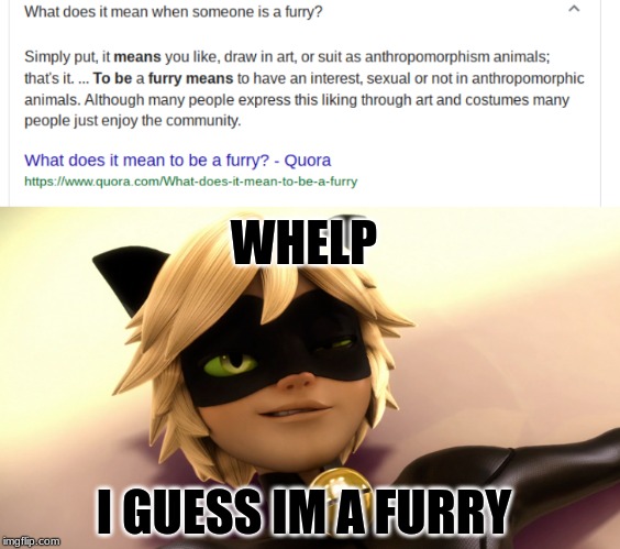 The Miraculous fandom is all furries CONFIRMED!! | WHELP; I GUESS IM A FURRY | image tagged in miraculous ladybug,cat noir,furry,furries | made w/ Imgflip meme maker