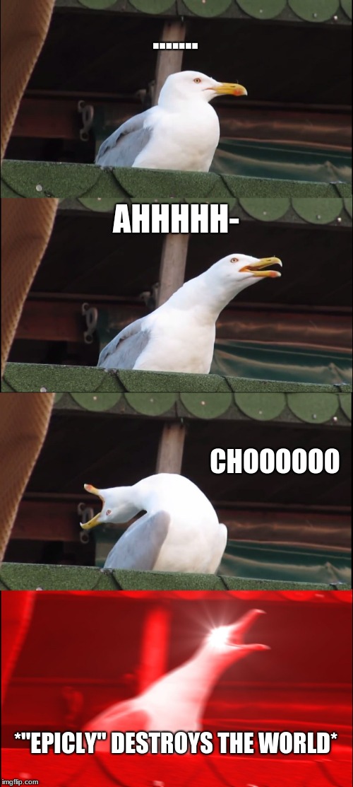 Inhaling Seagull | ....... AHHHHH-; CHOOOOOO; *"EPICLY" DESTROYS THE WORLD* | image tagged in memes,inhaling seagull | made w/ Imgflip meme maker