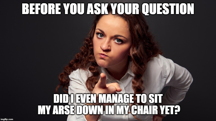 Angry Woman Pointing Finger | BEFORE YOU ASK YOUR QUESTION; DID I EVEN MANAGE TO SIT MY ARSE DOWN IN MY CHAIR YET? | image tagged in angry woman pointing finger | made w/ Imgflip meme maker