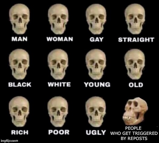 idiot skull | PEOPLE WHO GET TRIGGERED BY REPOSTS | image tagged in idiot skull | made w/ Imgflip meme maker