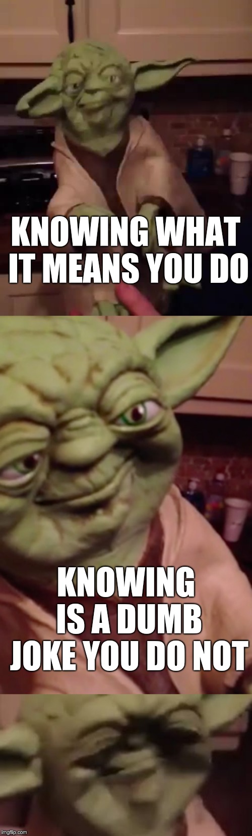 Yoda Bad Joke | KNOWING WHAT IT MEANS YOU DO KNOWING IS A DUMB JOKE YOU DO NOT | image tagged in yoda bad joke | made w/ Imgflip meme maker