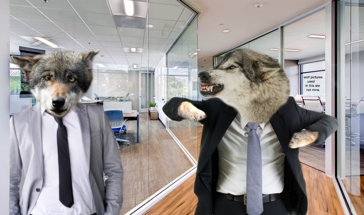 Hangry Wolf Manager (no watermark) Blank Meme Template