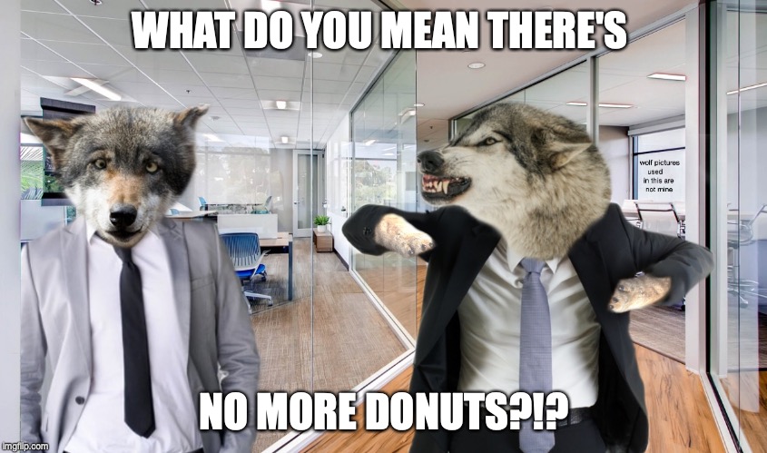Hangry Wolf Manager (no watermark) | WHAT DO YOU MEAN THERE'S; NO MORE DONUTS?!? | image tagged in hangry wolf manager no watermark | made w/ Imgflip meme maker