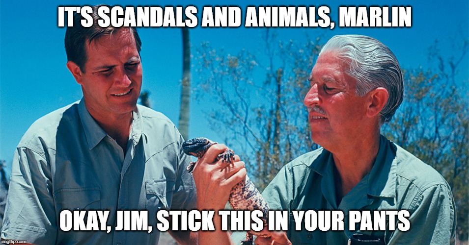scandals and animals | IT'S SCANDALS AND ANIMALS, MARLIN; OKAY, JIM, STICK THIS IN YOUR PANTS | image tagged in seinfeld,jim fowler,marlin perkins,kramer,merv griffin show | made w/ Imgflip meme maker
