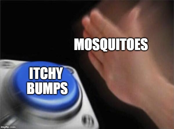 Blank Nut Button Meme | MOSQUITOES; ITCHY BUMPS | image tagged in memes,blank nut button | made w/ Imgflip meme maker