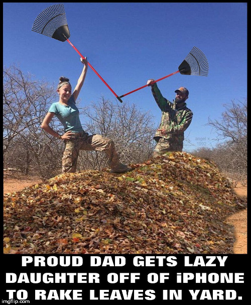 image tagged in rake,leaves,iphone,children,work,chores | made w/ Imgflip meme maker