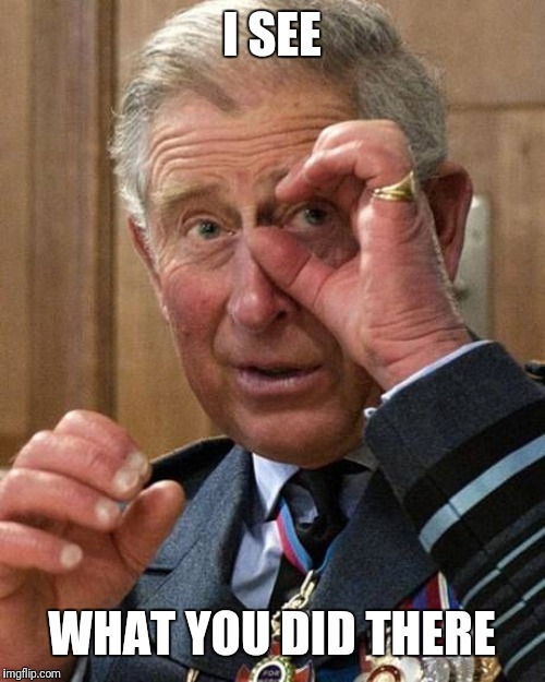 prince charles | I SEE WHAT YOU DID THERE | image tagged in prince charles | made w/ Imgflip meme maker