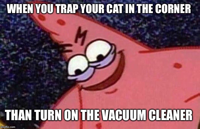 Evil Patrick  | WHEN YOU TRAP YOUR CAT IN THE CORNER; THAN TURN ON THE VACUUM CLEANER | image tagged in evil patrick | made w/ Imgflip meme maker