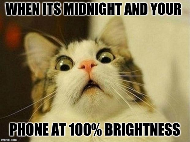 Scared Cat | WHEN ITS MIDNIGHT AND YOUR; PHONE AT 100% BRIGHTNESS | image tagged in memes,scared cat | made w/ Imgflip meme maker